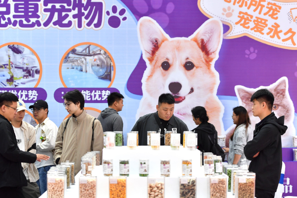 ntent=te不朽情缘登录co
